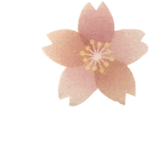 株式会社Dreamy